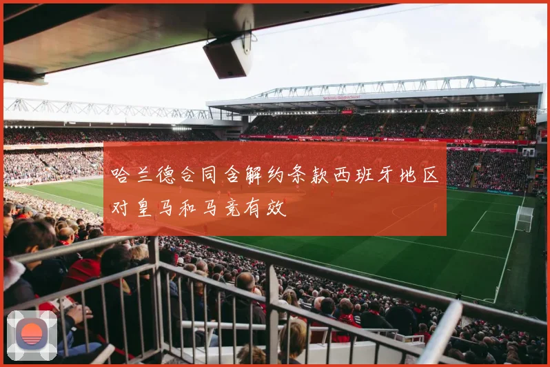 哈兰德合同含解约条款西班牙地区对皇马和马竞有效