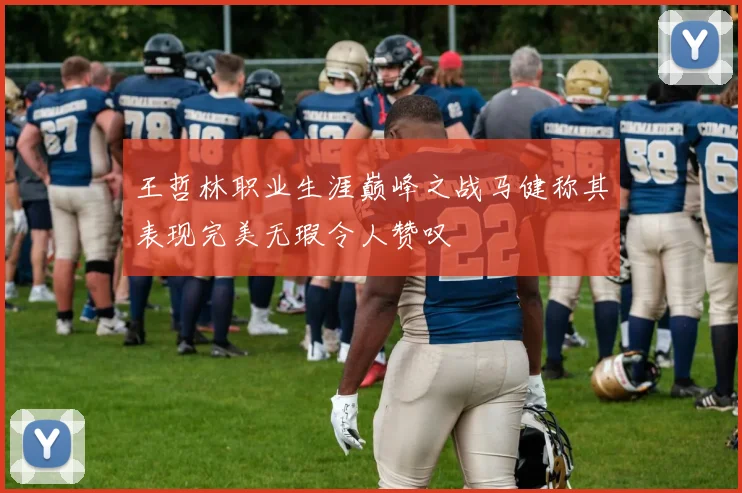 王哲林职业生涯巅峰之战马健称其表现完美无瑕令人赞叹