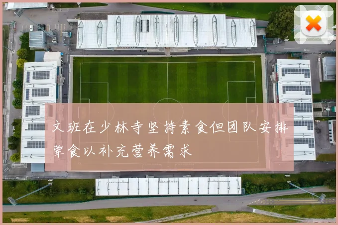文班在少林寺坚持素食但团队安排荤食以补充营养需求